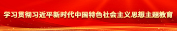 男的女的操逼网站学习贯彻习近平新时代中国特色社会主义思想主题教育