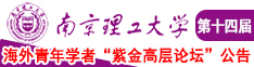 我想肏屄视频南京理工大学第十四届海外青年学者紫金论坛诚邀海内外英才！